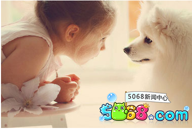 动物伴侣助孩子健康成长 动物伴侣助孩子健康成长